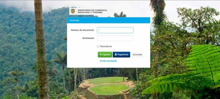 Tarjeta profesional de guía de turismo