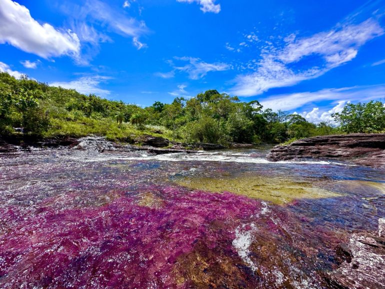 Japón reduce alerta de viaje para Caño Cristales