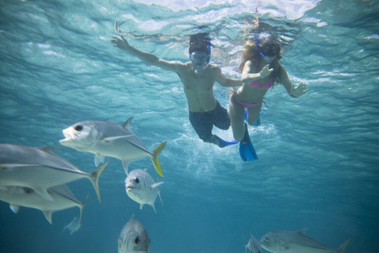 Actividades para disfrutar en Belice