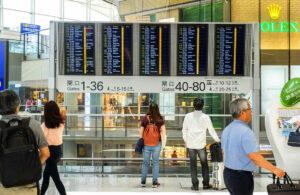 Informe de IATA en julio