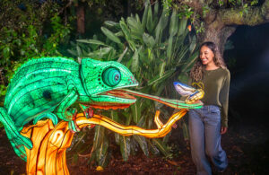 Illuminate en Aquatica Orlando