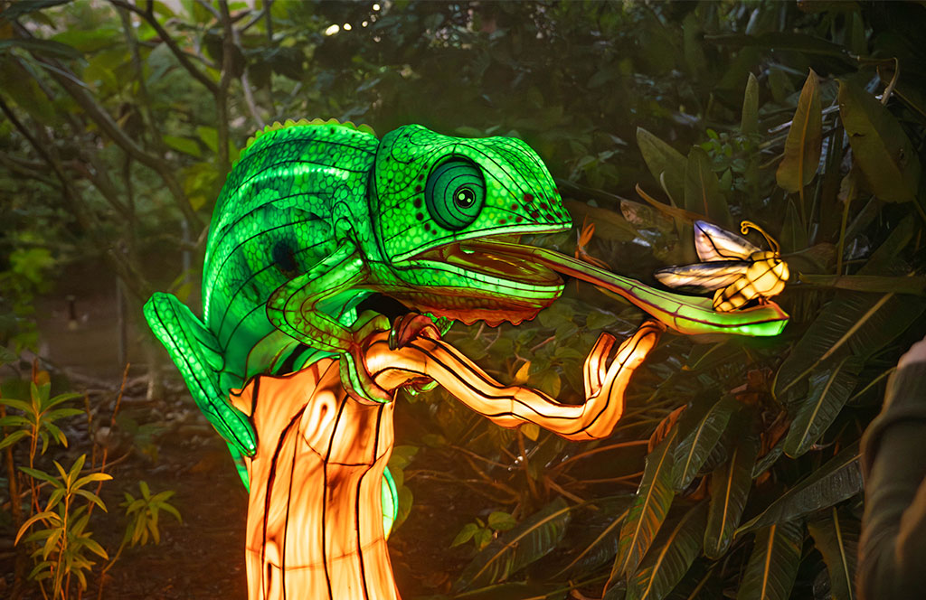 Illuminate en Aquatica Orlando