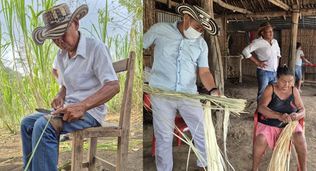 Córdoba Vitrina de Anato